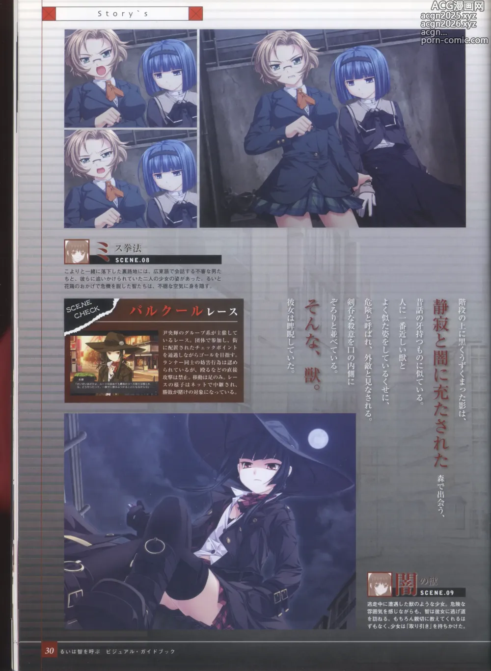 Page 38 of imageset Rui wa Tomo wo Yobu Visual Guidebook