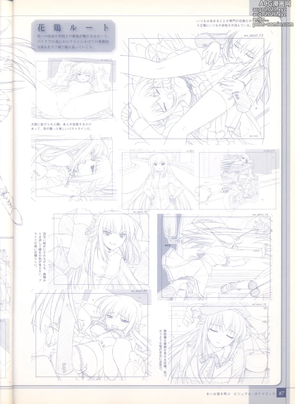 Page 95 of imageset Rui wa Tomo wo Yobu Visual Guidebook