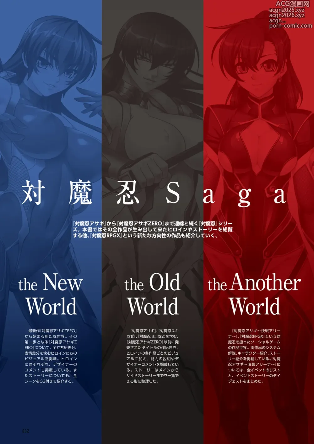 Page 4 of imageset 公式設定集 対魔忍 Saga