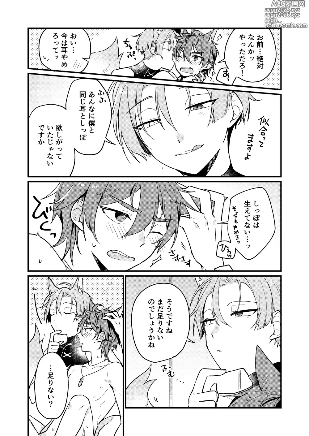 Page 5 of doujinshi Yumemaboroshi no Tenkiame