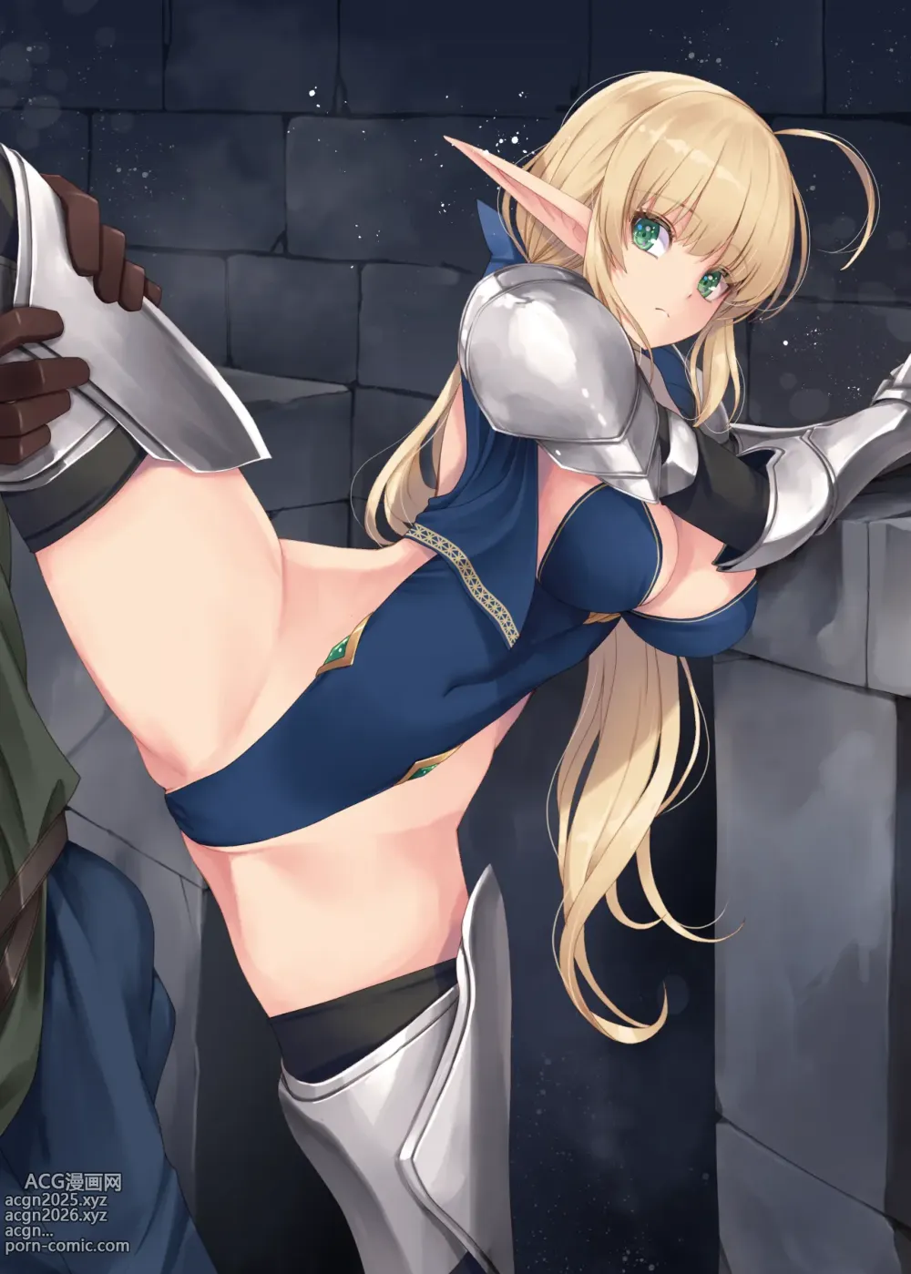 Page 17 of imageset Shin Reotaado Erufu Onna Kishi Series