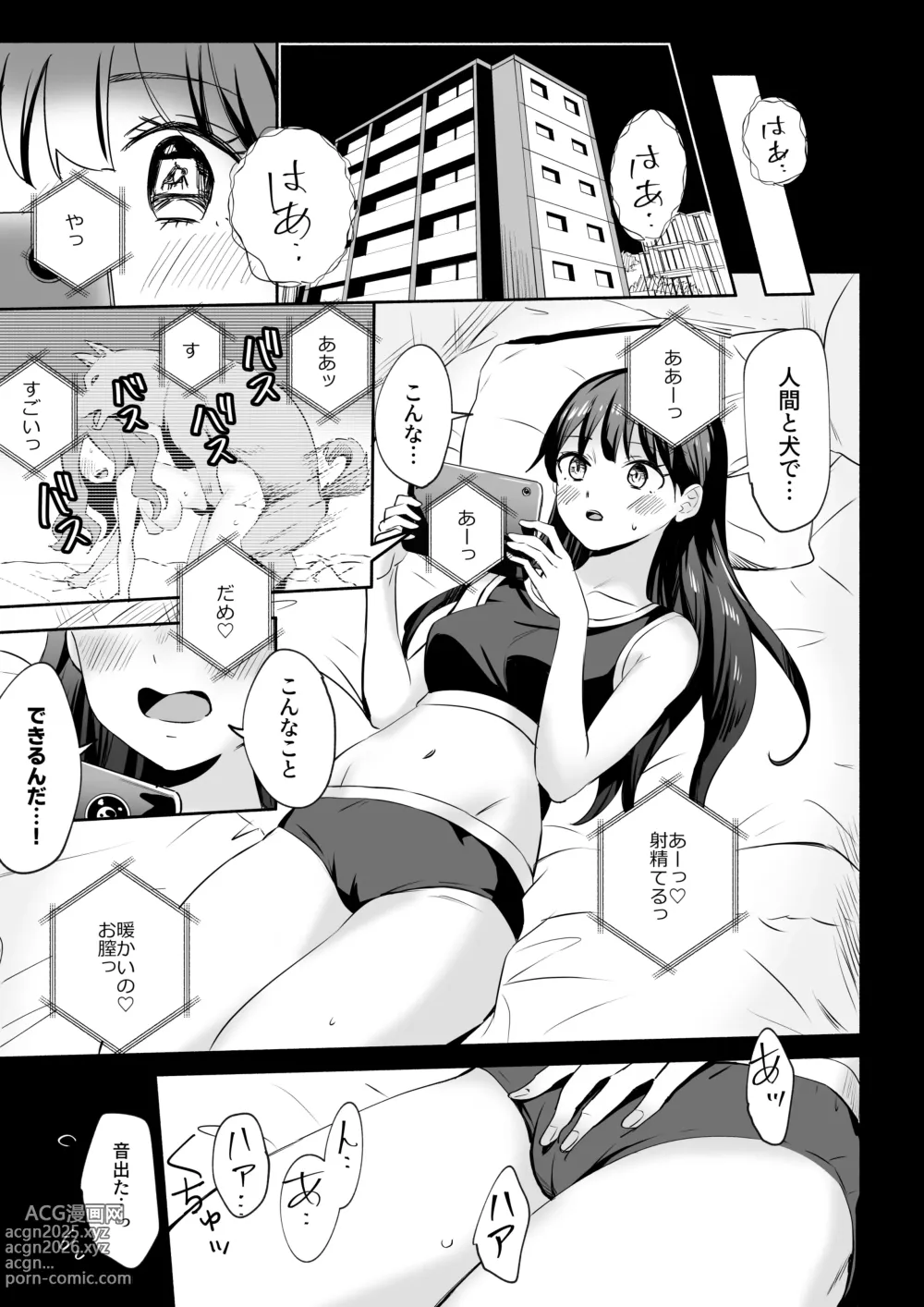 Page 3 of doujinshi Inu ni NTRrechimatta