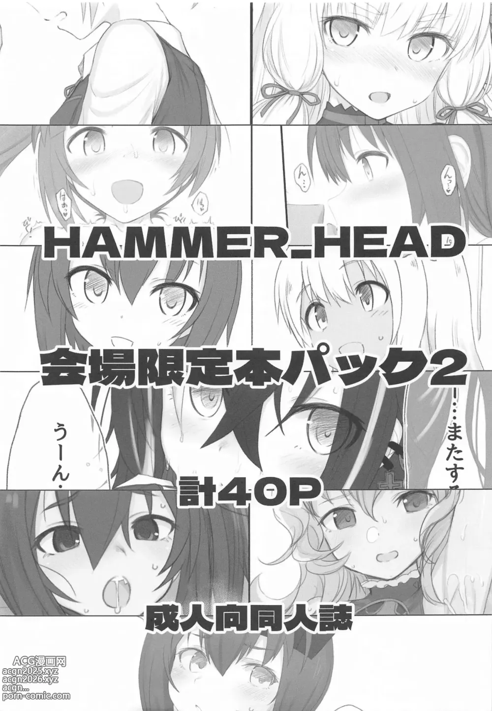 Page 1 of doujinshi HAMMER_HEAD会場限定本パック2