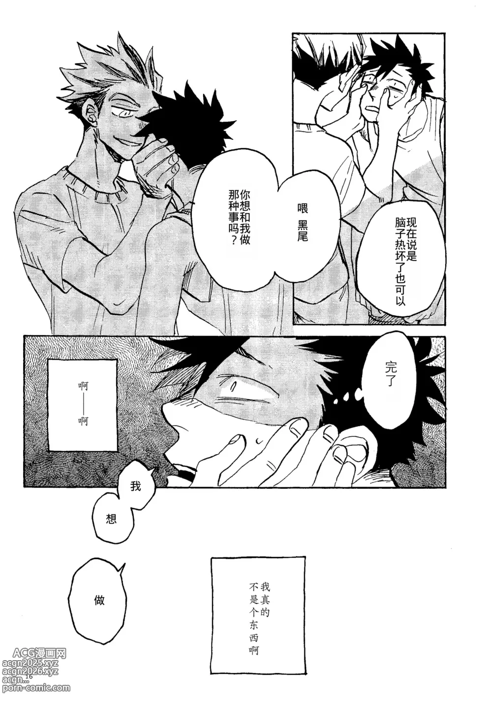Page 14 of doujinshi 消散于残夏