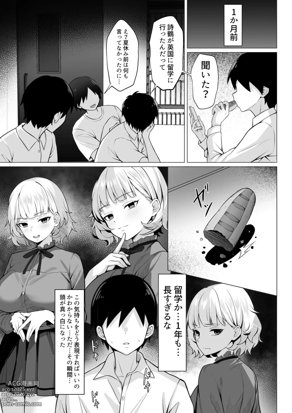 Page 4 of doujinshi Ore no Joukyou Seiseikatsu 19 Shizuru Ninshin Kouhen