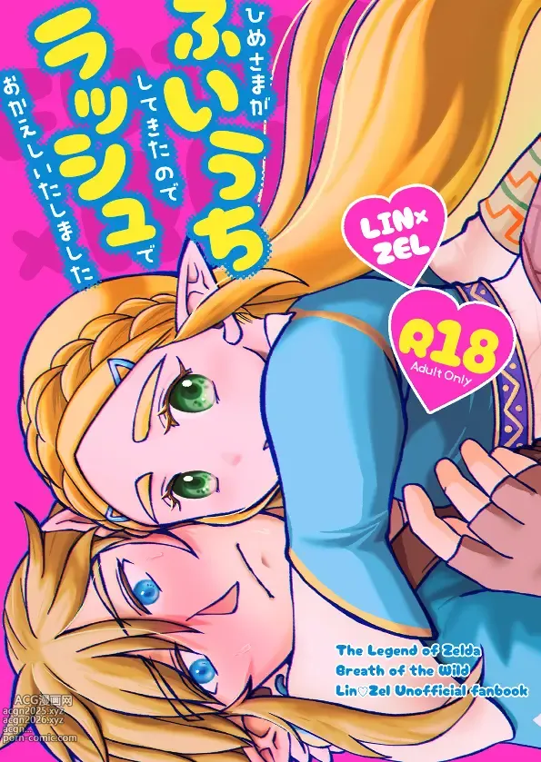 Page 1 of doujinshi ]Affection[The Legend of Zelda)