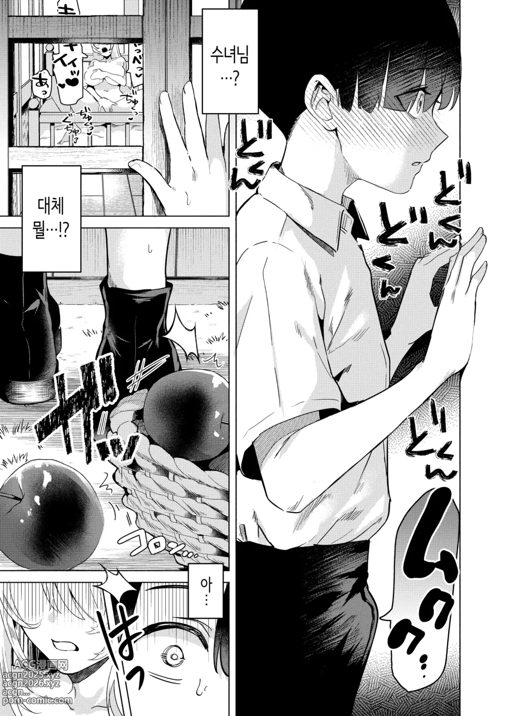 Page 6 of doujinshi 수녀와 성스러운 참회