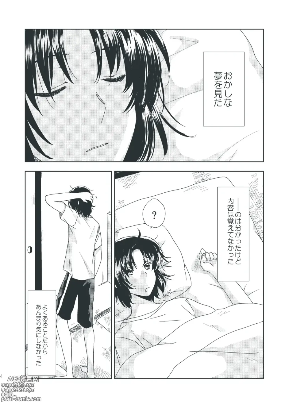 Page 3 of doujinshi Chocolat Dream