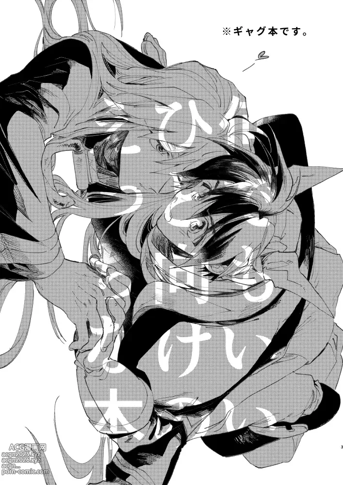 Page 2 of doujinshi Miyou! Kore ga Washi no Otoko da!