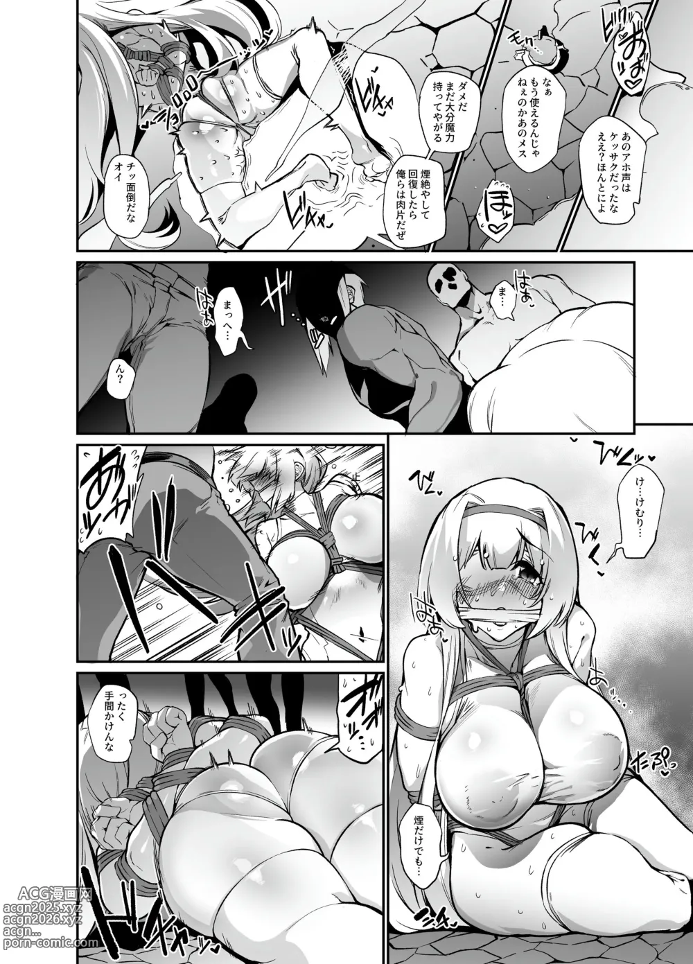 Page 15 of doujinshi Hime Kishi Alicia no Junan 14