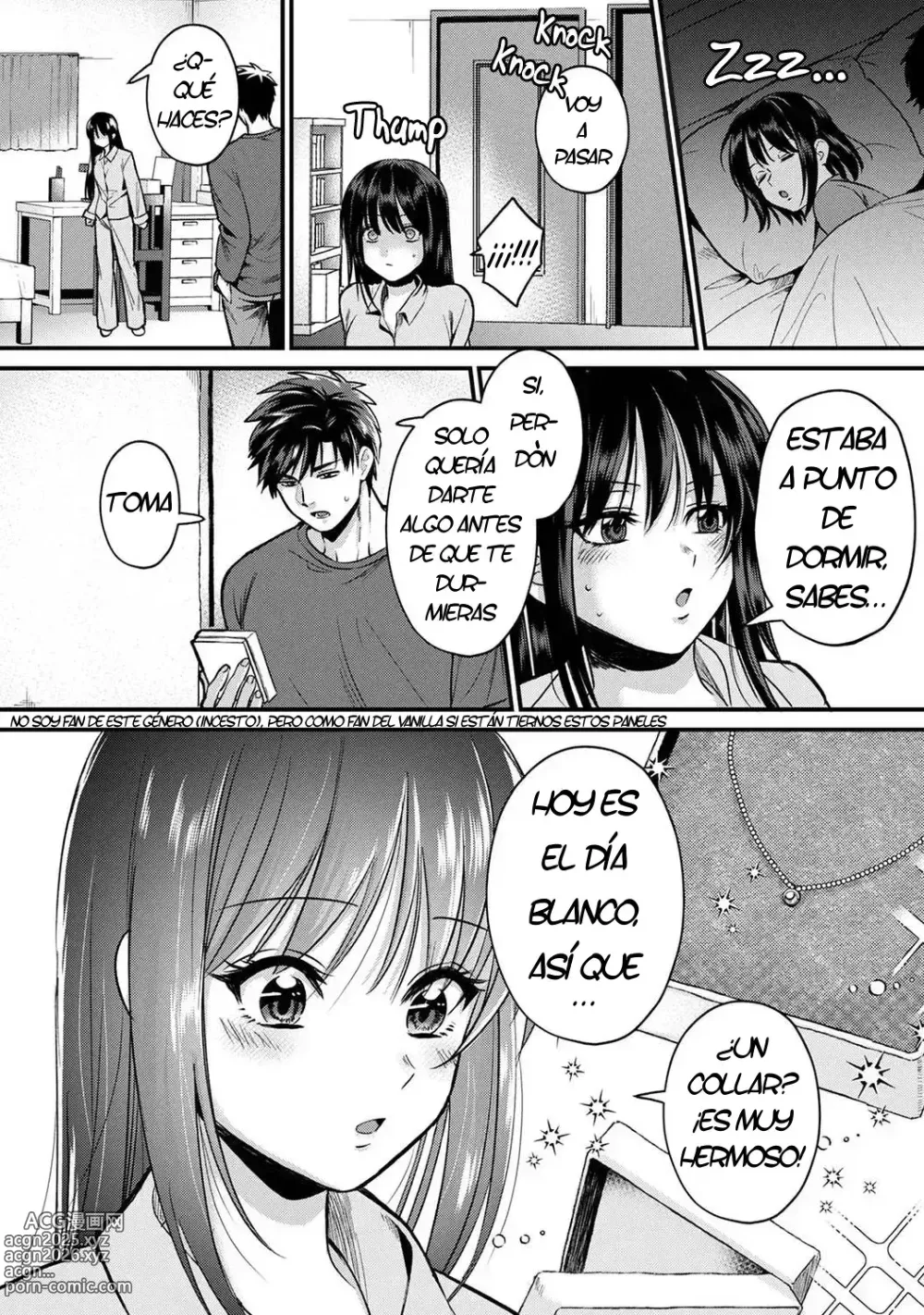 Page 17 of manga Mi hermana mayor no es mi tipo pero tenemos una increible quimica sexual 9