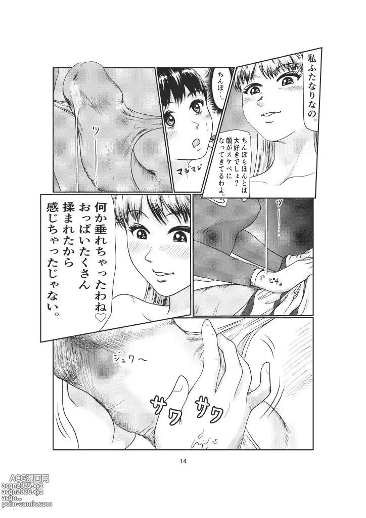 Page 14 of doujinshi K3