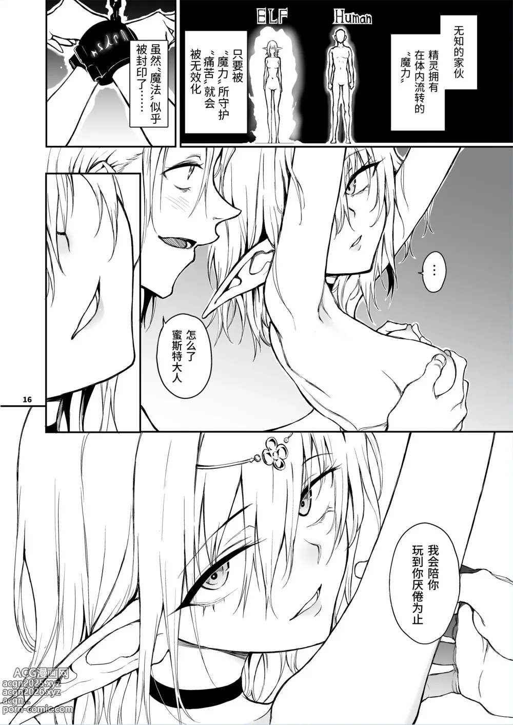 Page 17 of doujinshi 精灵教育 - 亡国的蜜斯特 (decensored)