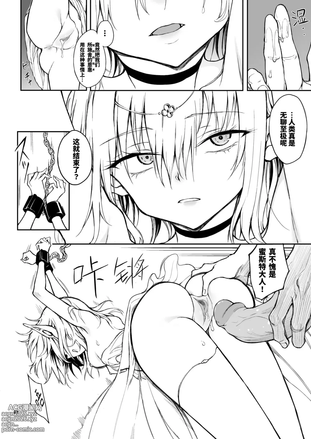 Page 23 of doujinshi 精灵教育 - 亡国的蜜斯特 (decensored)