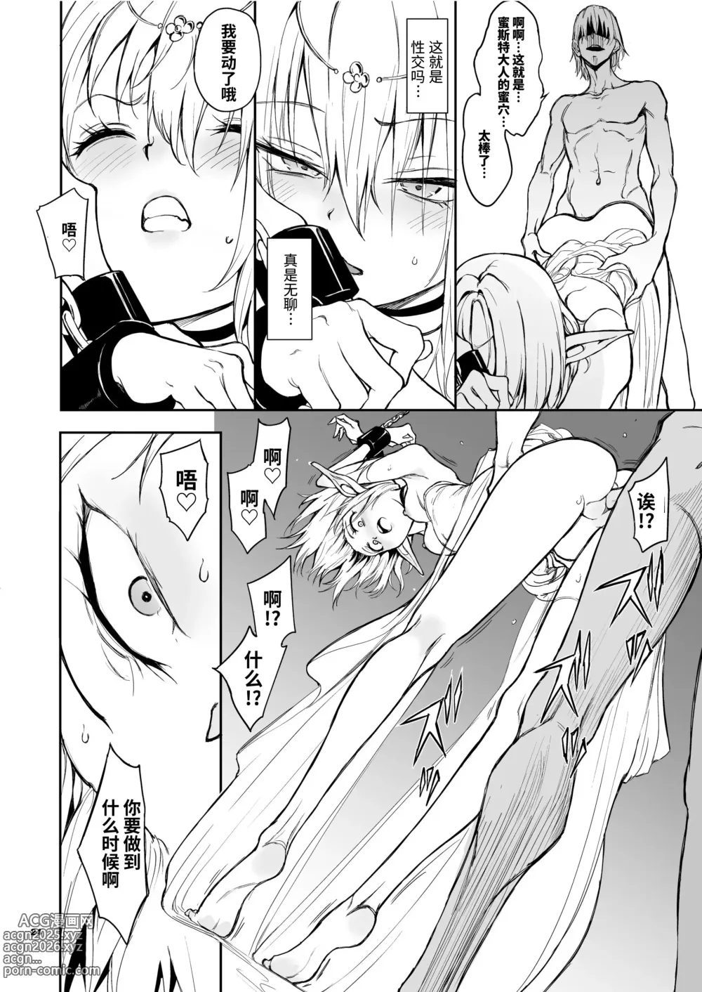 Page 25 of doujinshi 精灵教育 - 亡国的蜜斯特 (decensored)