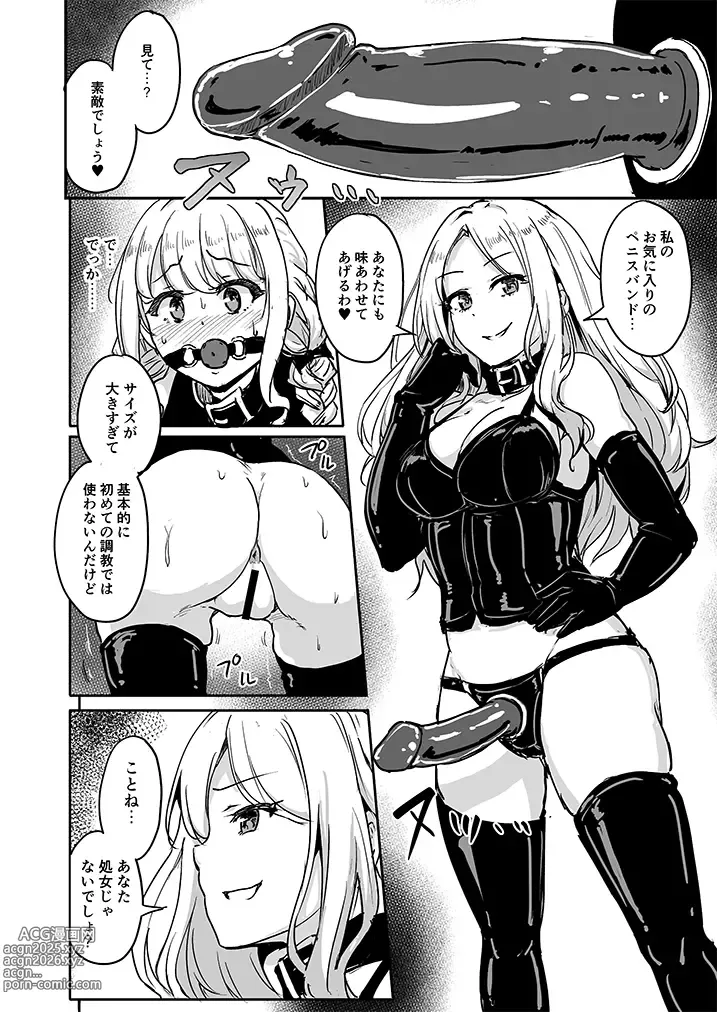 Page 17 of doujinshi PerfectLessonH