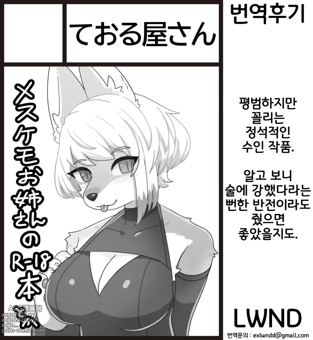 Page 19 of doujinshi 여우씨의 야한 책