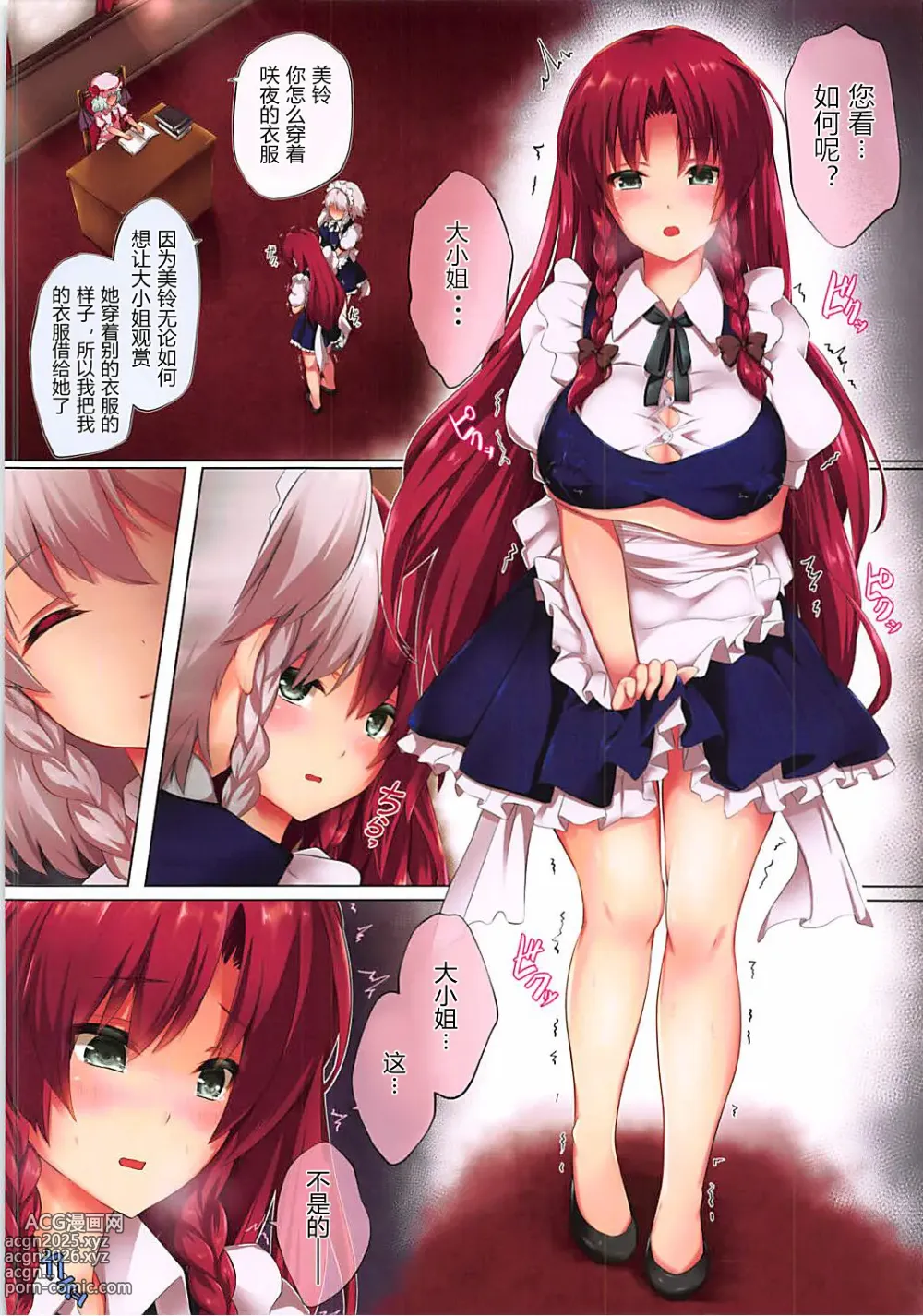 Page 3 of doujinshi 一時興起的紅美鈴2