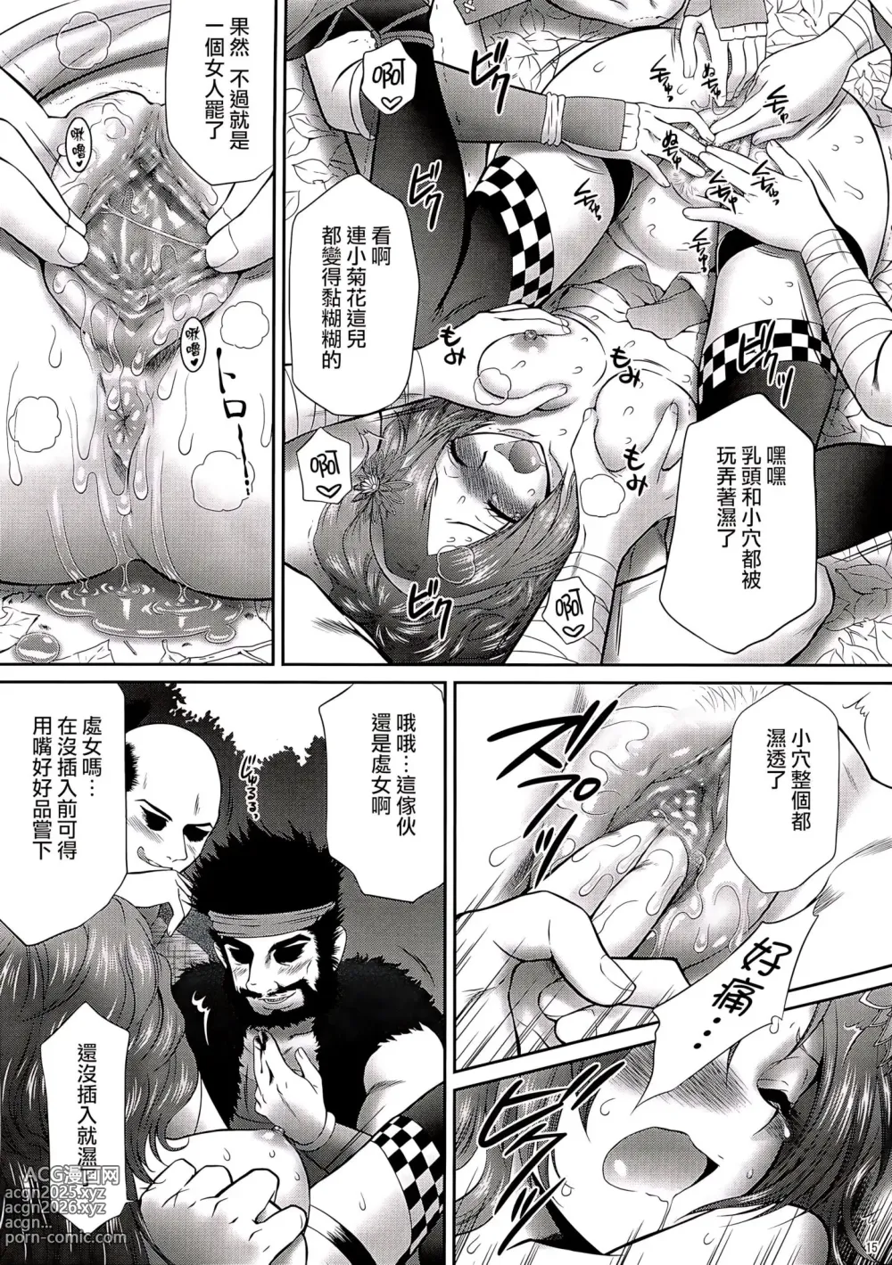 Page 14 of doujinshi Kaihime Muzan (decensored)