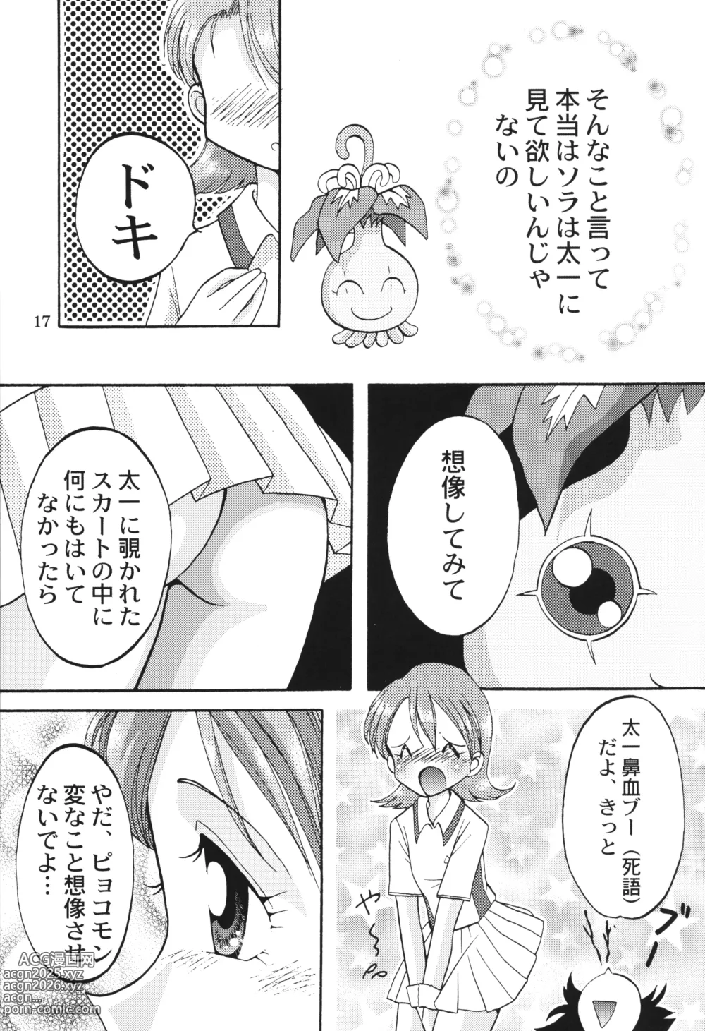 Page 16 of doujinshi Sora Mimi Hour 3