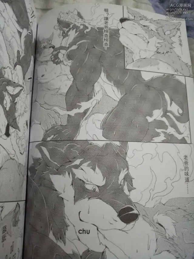 Page 12 of doujinshi 麒麟妖志2