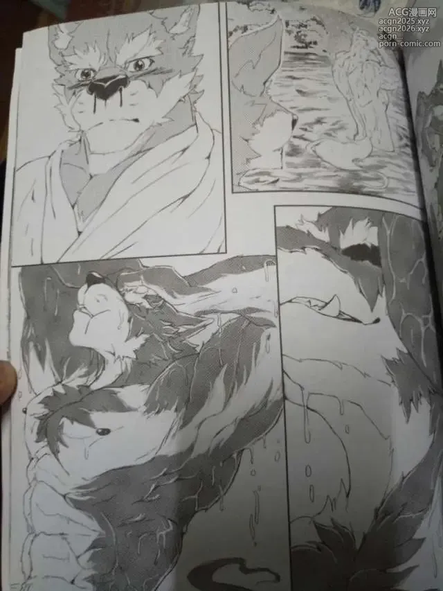 Page 19 of doujinshi 麒麟妖志2