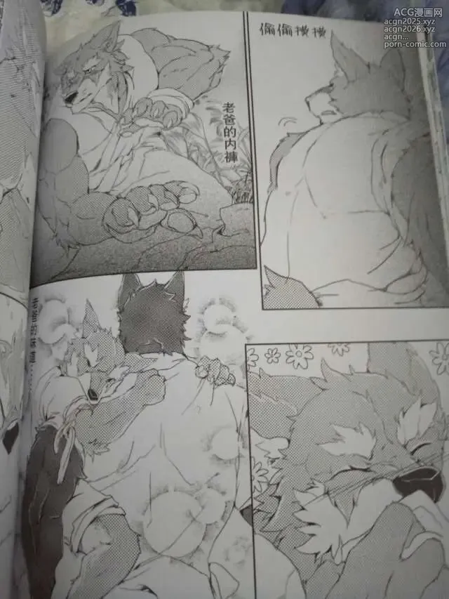 Page 20 of doujinshi 麒麟妖志2