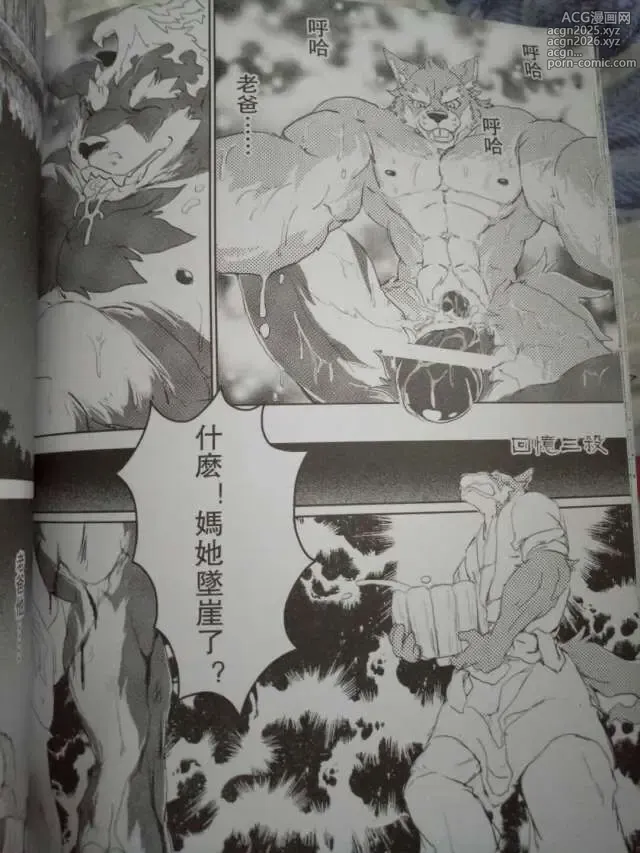 Page 36 of doujinshi 麒麟妖志2