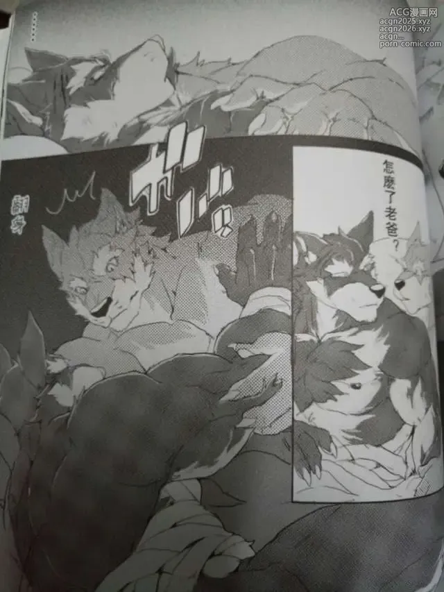 Page 39 of doujinshi 麒麟妖志2