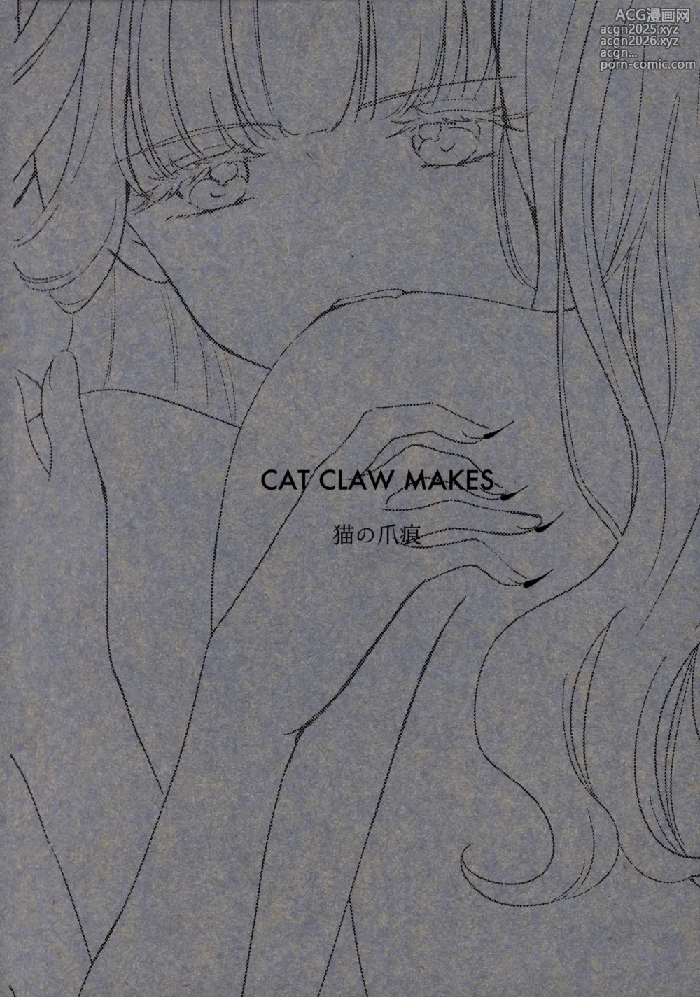 Page 29 of doujinshi CAT CLAW MAKES ~Neko no Tumeato~