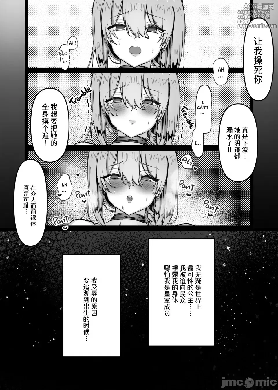 Page 4 of doujinshi The Disgraced Briar Princess and the Virgin Knight