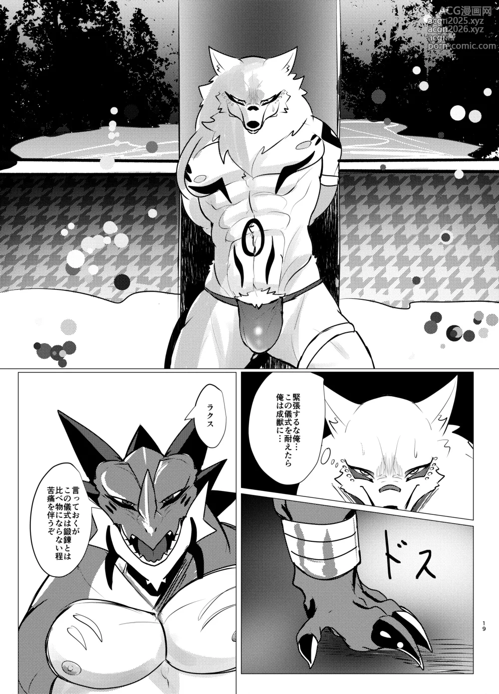 Page 19 of doujinshi Seijū No Gi