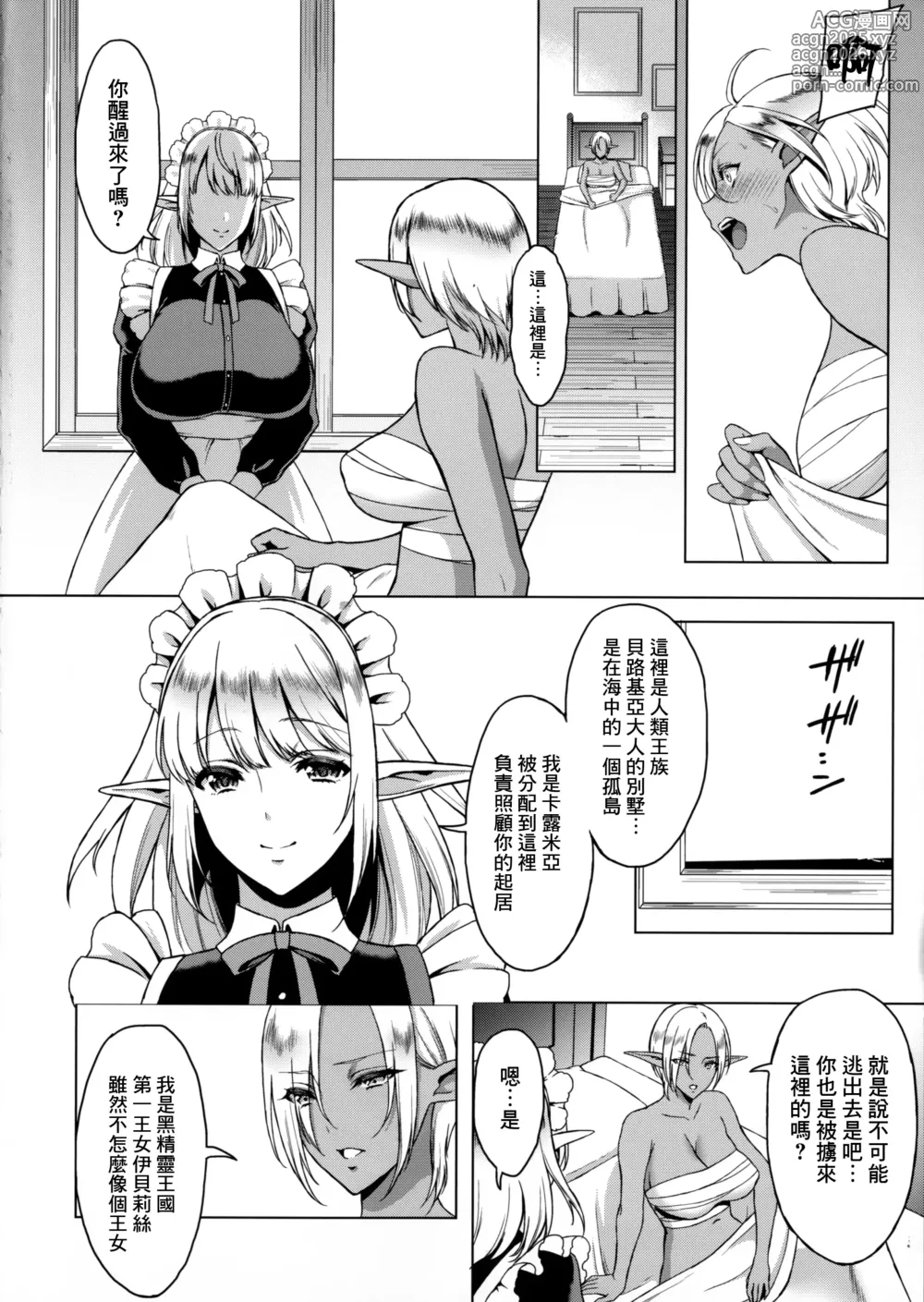 Page 3 of doujinshi 隷属エルフメイド + C91会場限定本