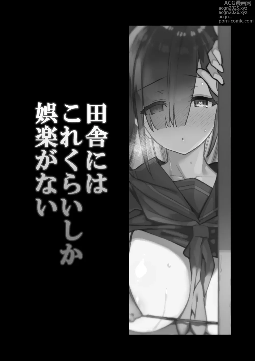 Page 2 of doujinshi 田舎にはこれくらいしか娯楽がない 1-4無修 5 總集 整理合集