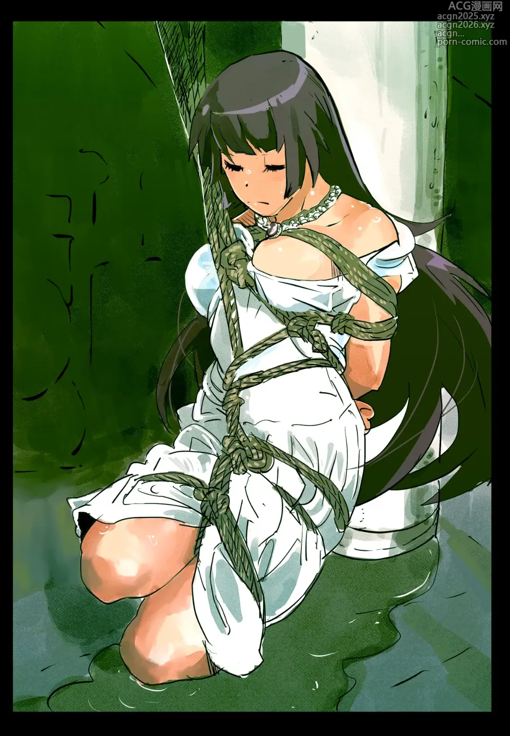 Page 10 of imageset アニメキャラクターSM画集1〜9
