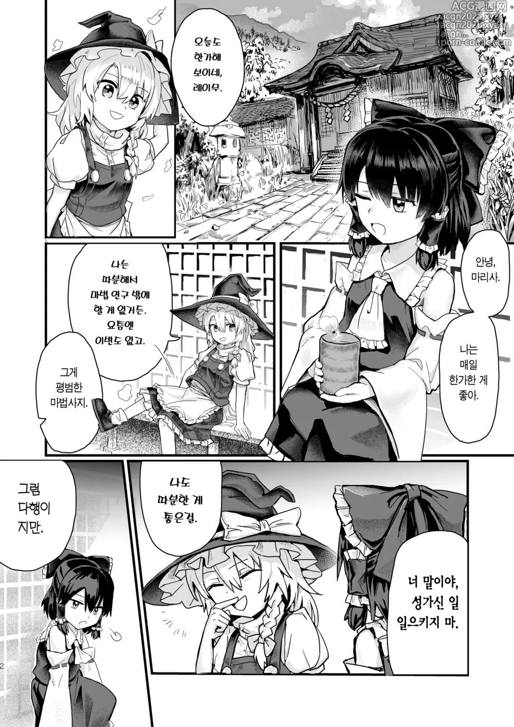 Page 3 of doujinshi 마리사가 모자에게 잡아먹혀서