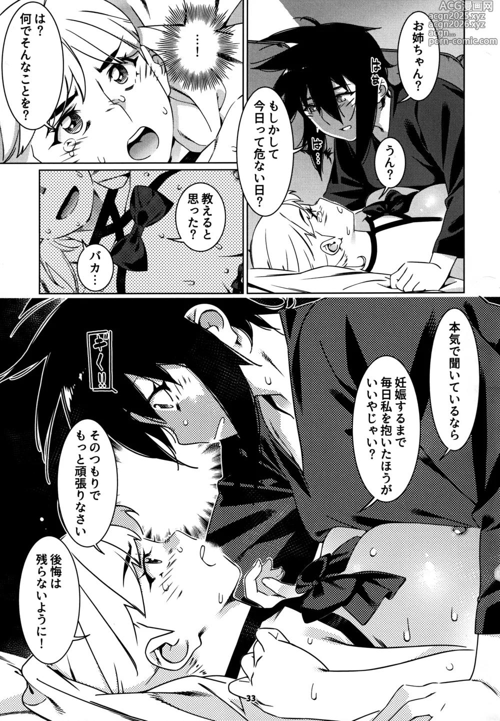 Page 32 of doujinshi Otonano Omochiya 27