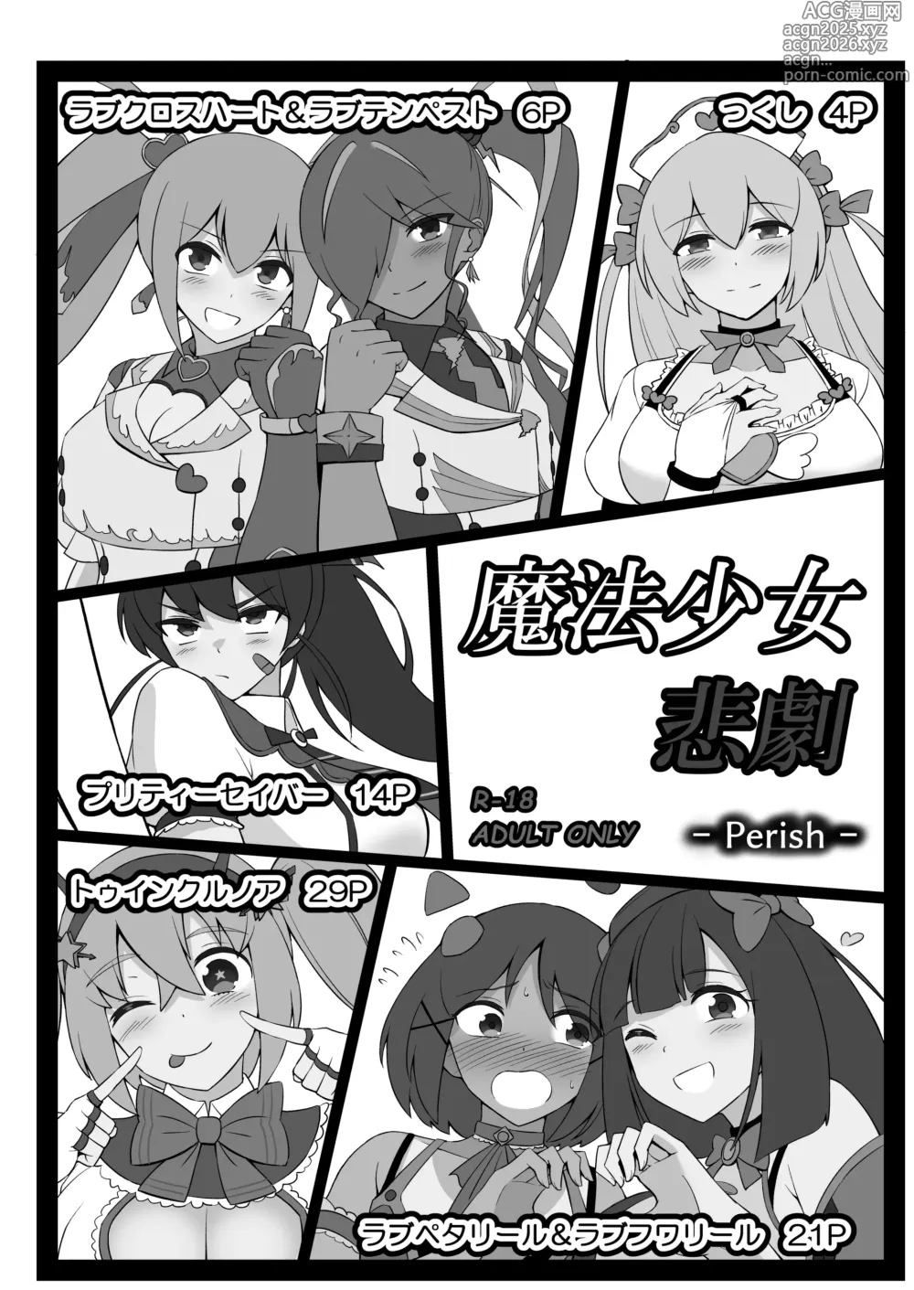 Page 3 of doujinshi Mahou Shoujo Higeki