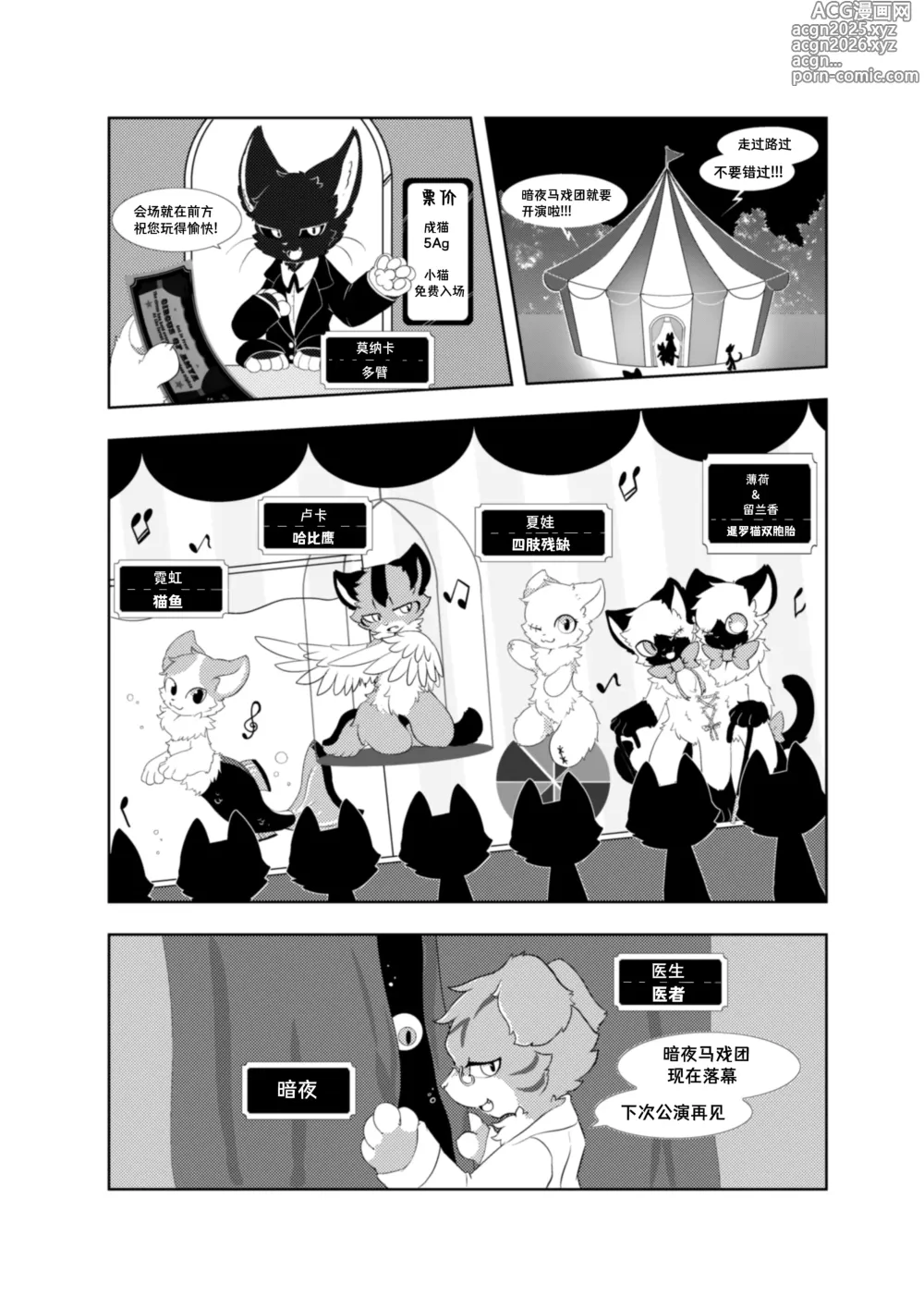 Page 3 of doujinshi 暗夜马戏团
