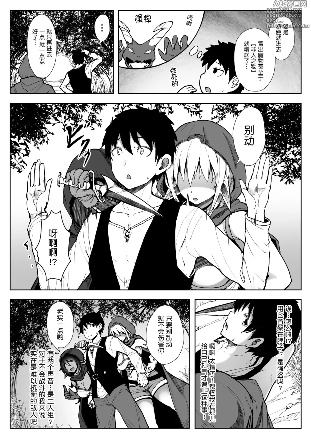 Page 3 of doujinshi エルフハーレム