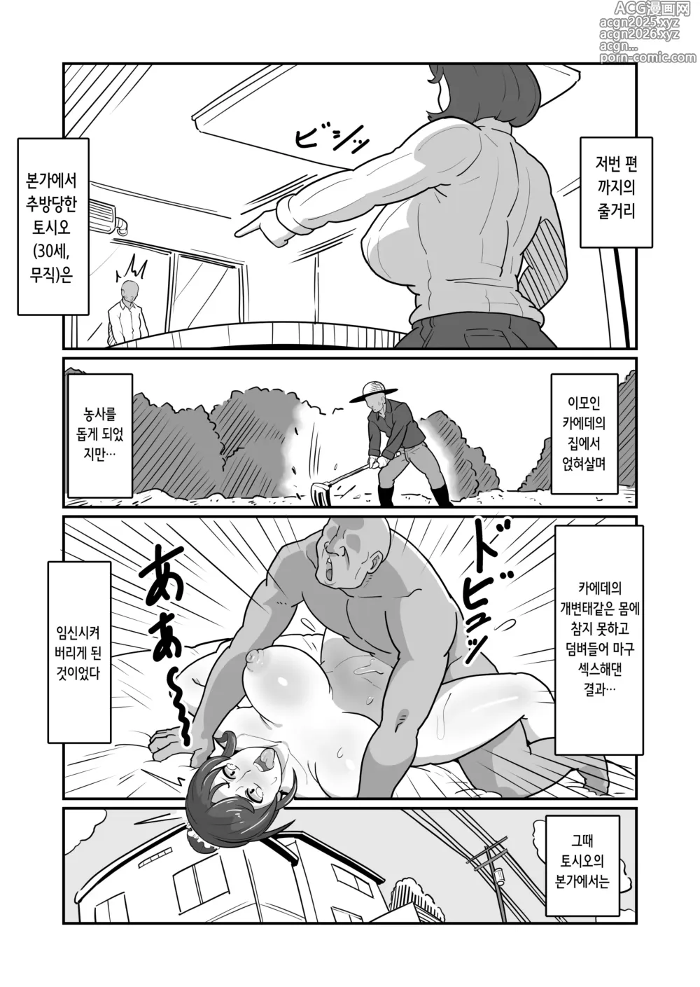 Page 3 of doujinshi 보테 엄마 ~나를 친가에서 쫓아내는 빡치는 엄마를 억지로 임신시켜서 임신배 섹스 삼매경!~
