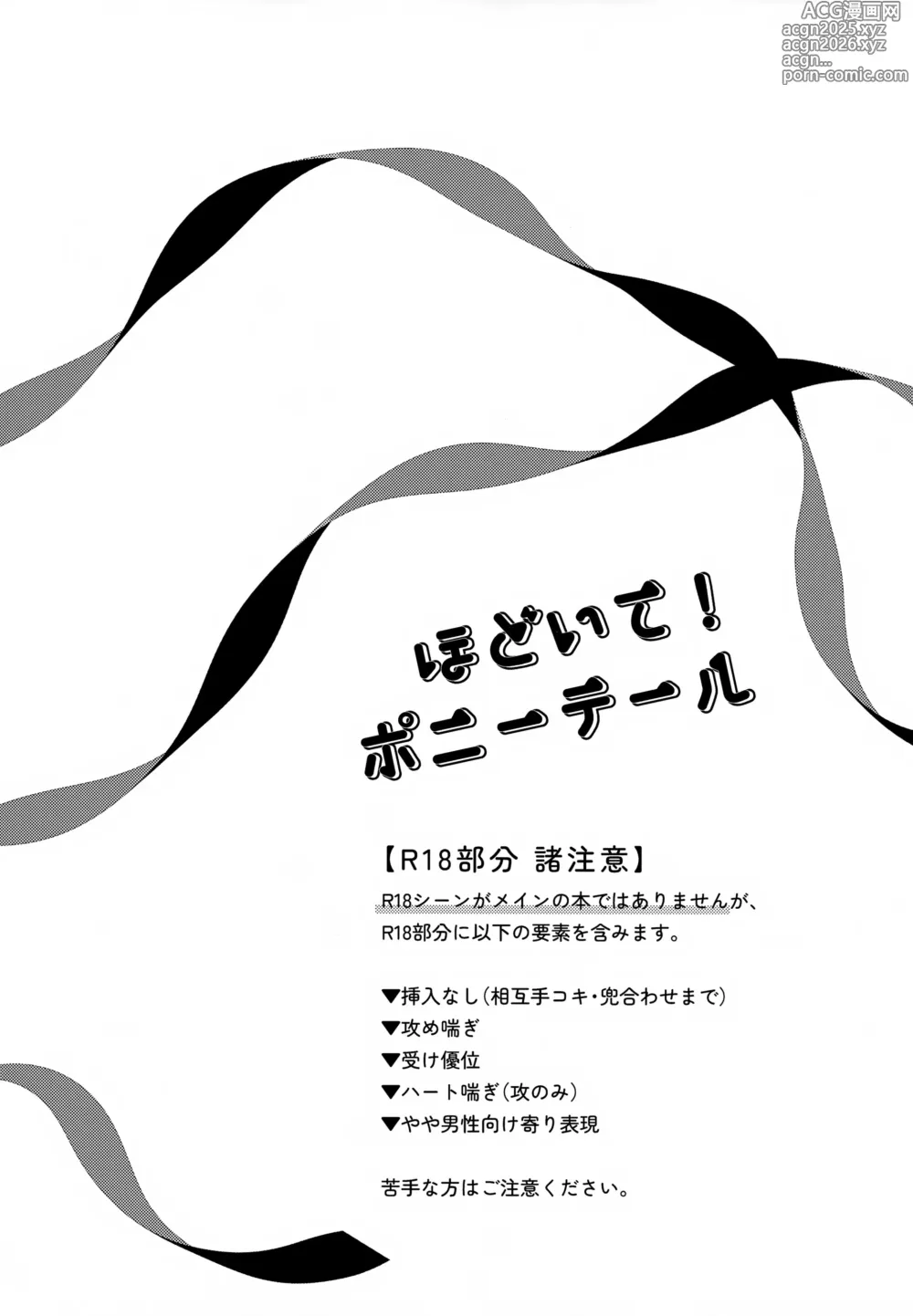Page 3 of doujinshi Hodoite! Ponytail