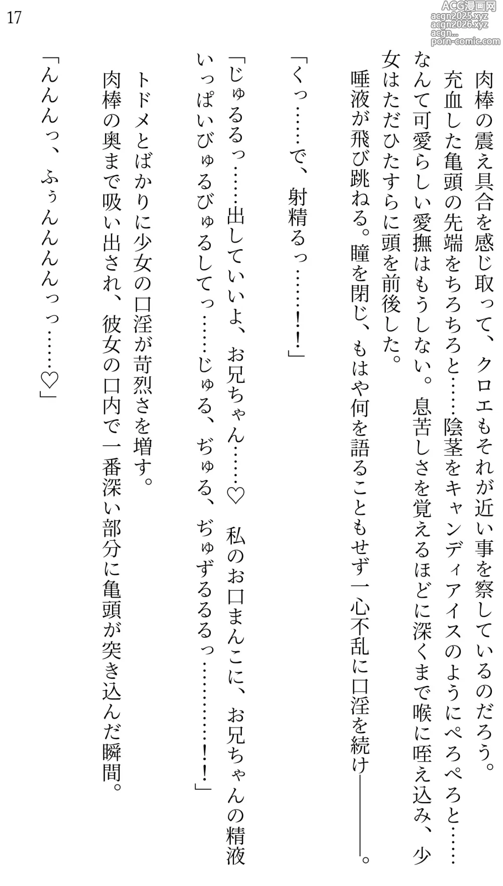 Page 17 of doujinshi Fate/Loli Order Vol.02