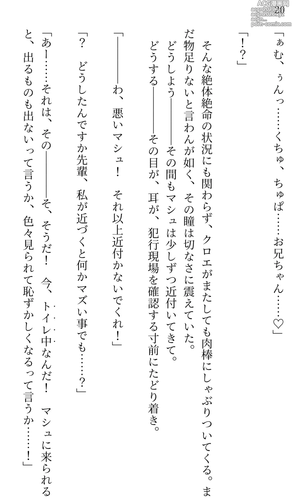 Page 20 of doujinshi Fate/Loli Order Vol.02
