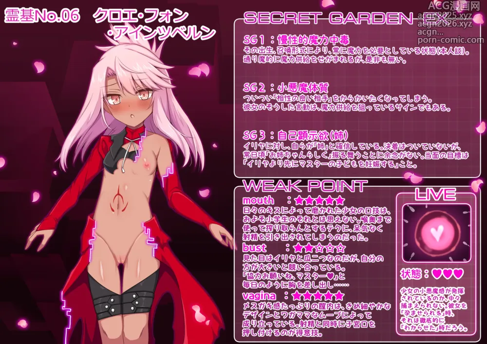 Page 3 of doujinshi Fate/Loli Order Vol.02