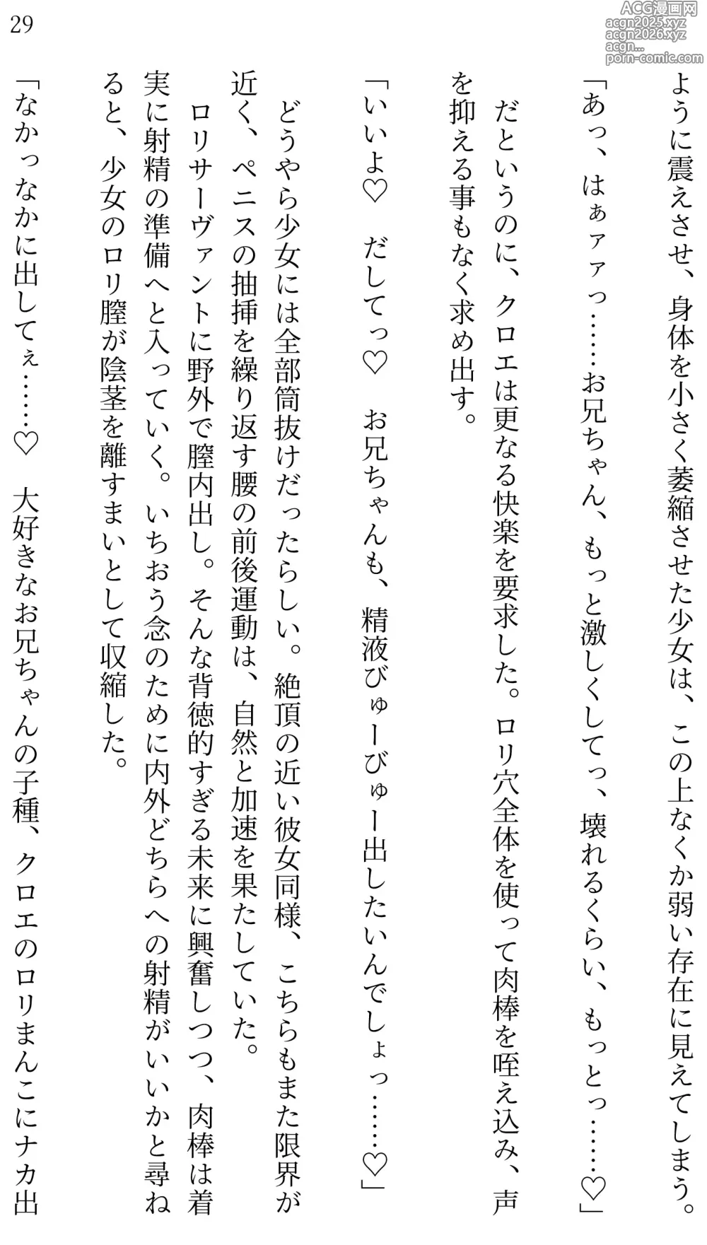 Page 29 of doujinshi Fate/Loli Order Vol.02