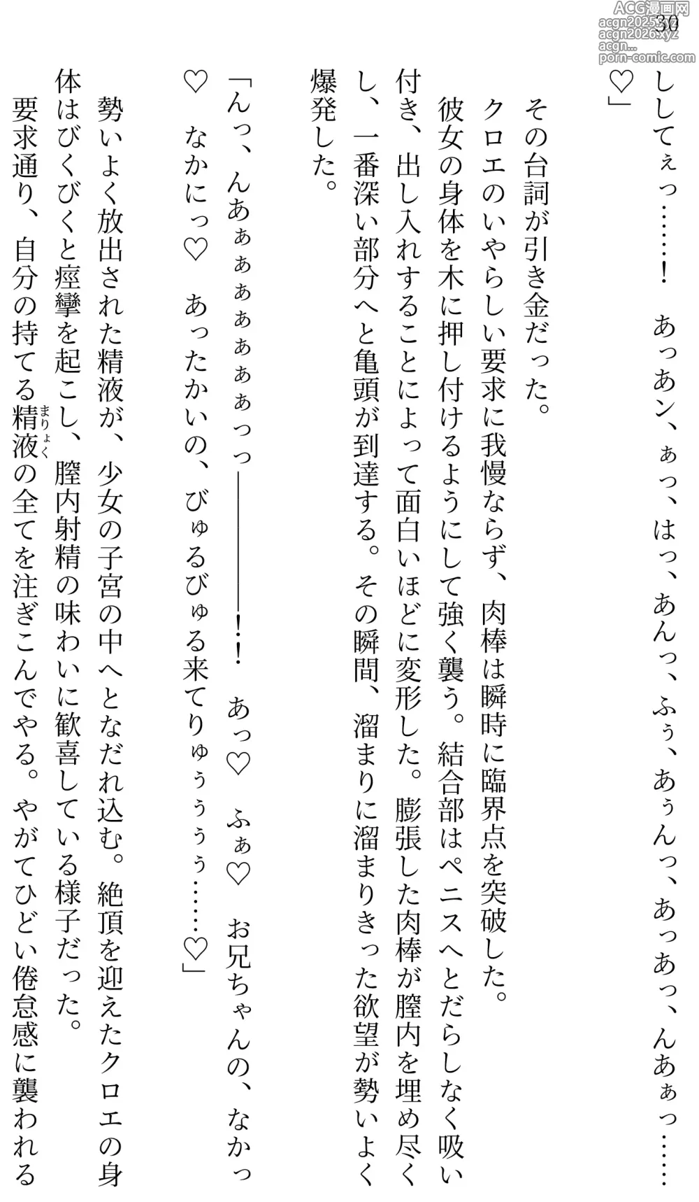 Page 30 of doujinshi Fate/Loli Order Vol.02