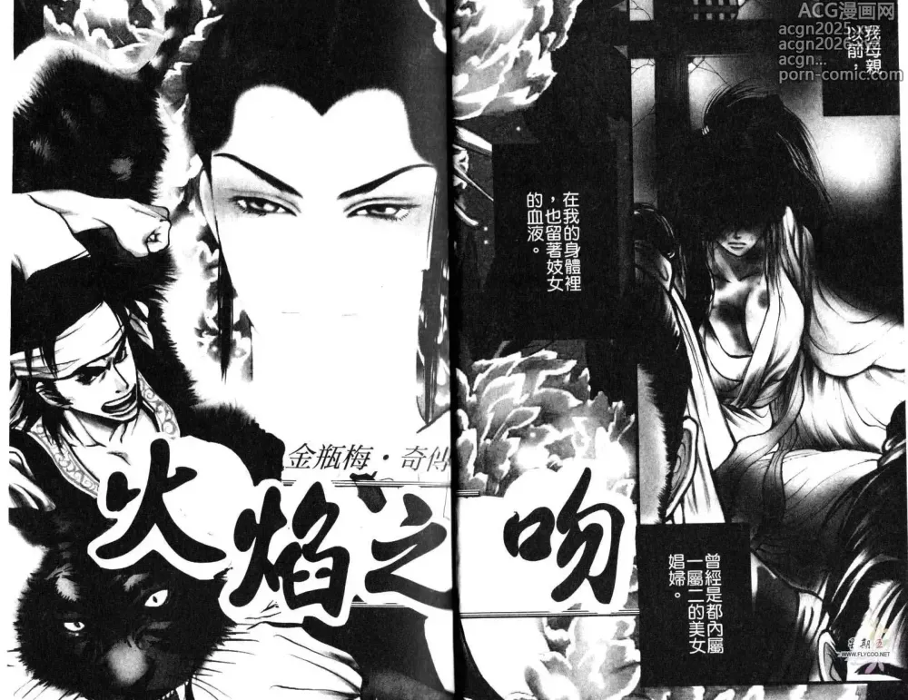 Page 3 of manga 金瓶梅奇傳 火焰之吻