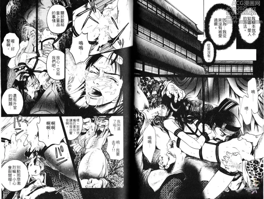 Page 25 of manga 金瓶梅奇傳 火焰之吻