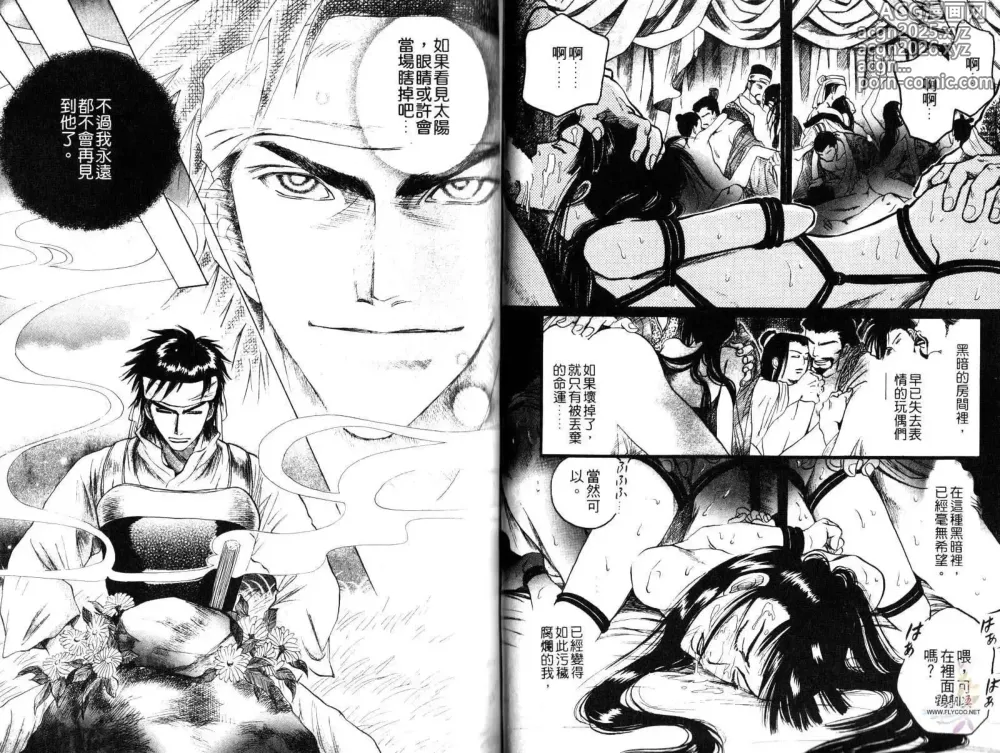 Page 26 of manga 金瓶梅奇傳 火焰之吻